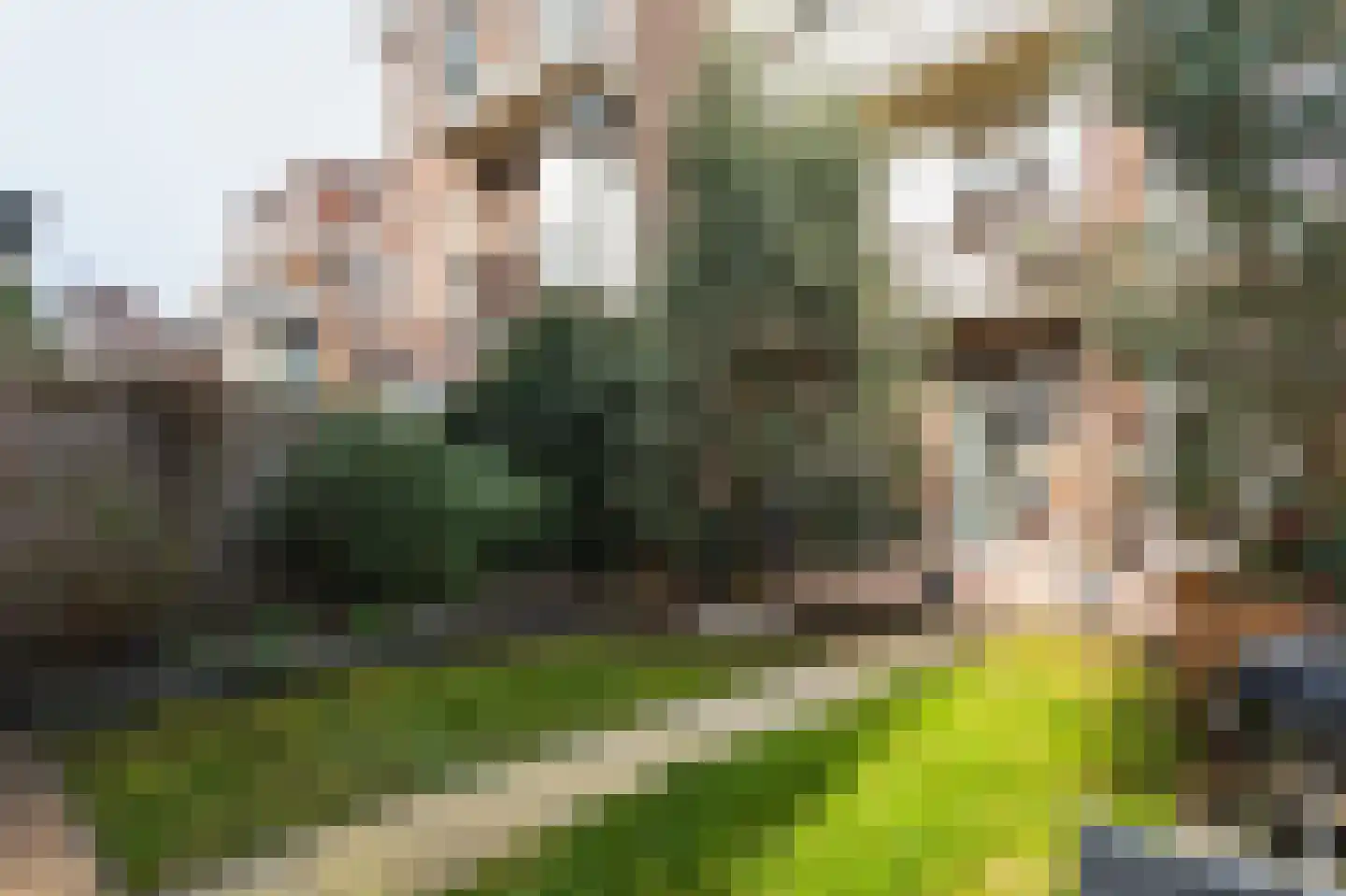 Mient 16 Den Haag thumbnail 21