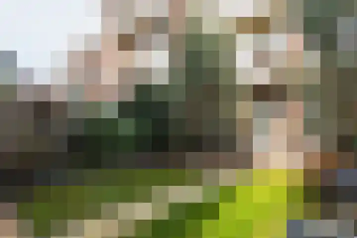 Mient 16 Den Haag thumbnail 21
