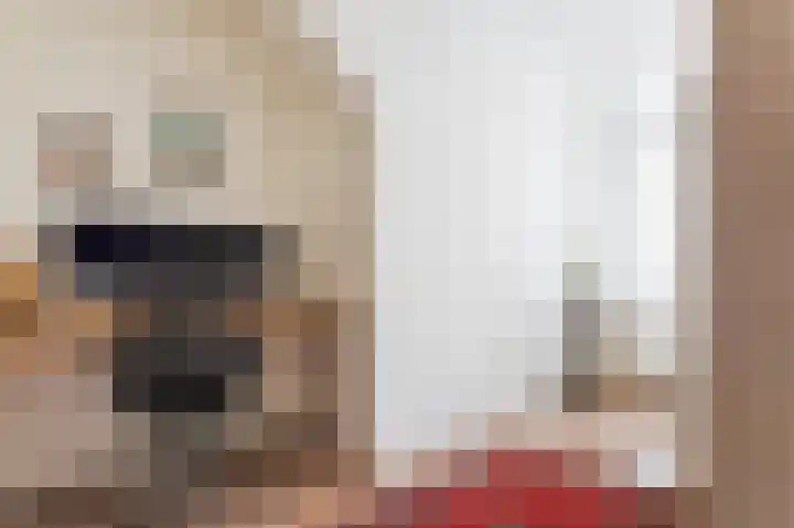 Mient 16 Den Haag thumbnail 33