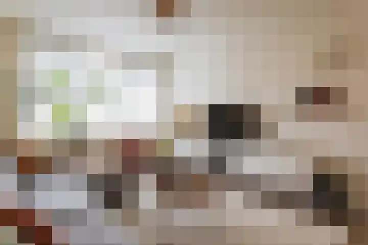 Mient 16 Den Haag thumbnail 6