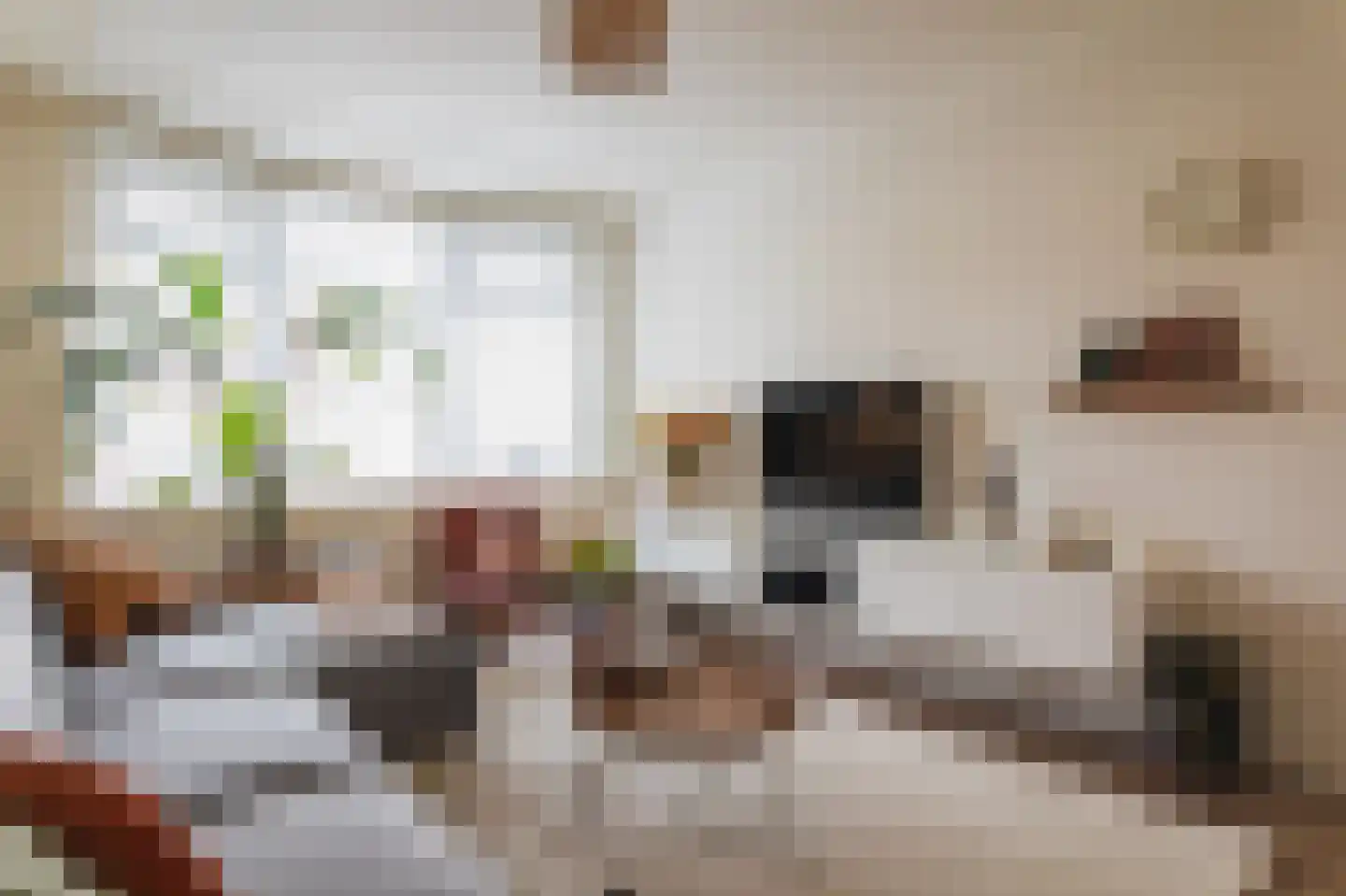 Mient 16 Den Haag thumbnail 6