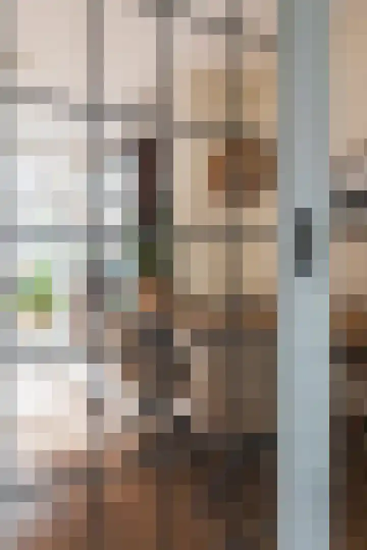 Mient 16 Den Haag thumbnail 9