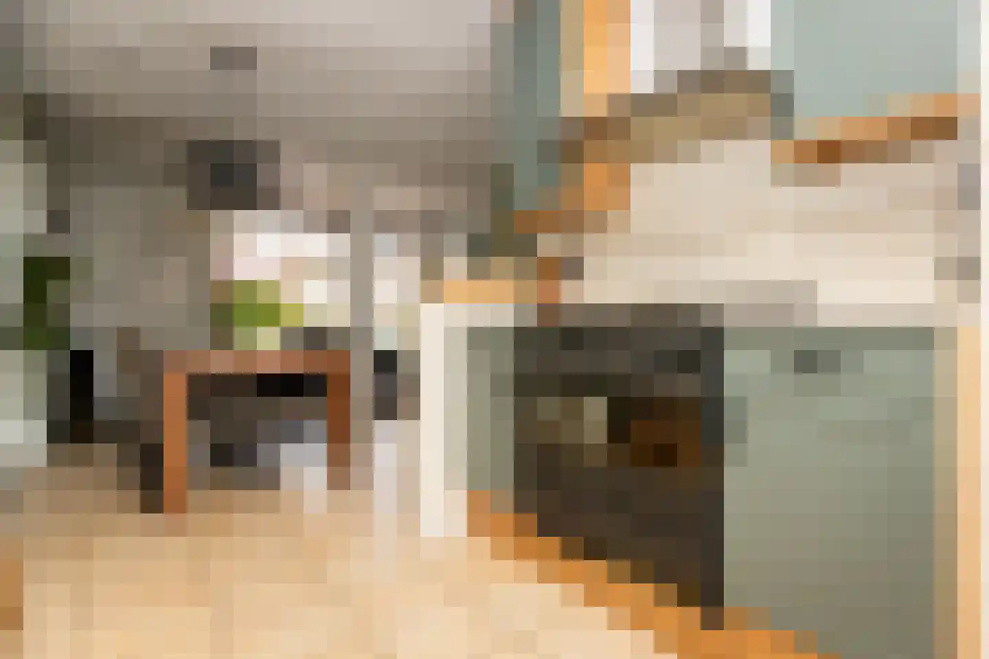 Mient 16 Sijbekarspel thumbnail 17