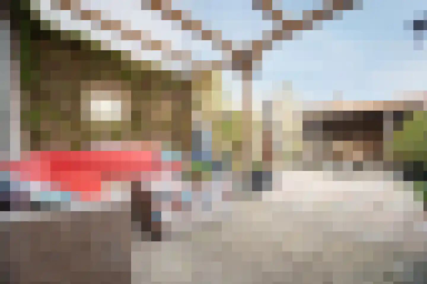 Mient 16 Sijbekarspel thumbnail 36