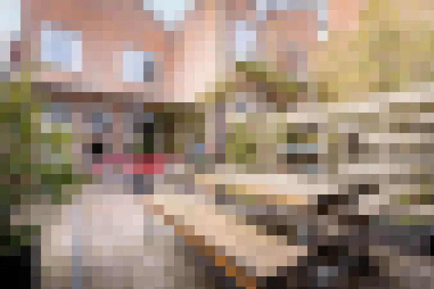 Mient 16 Sijbekarspel thumbnail 41