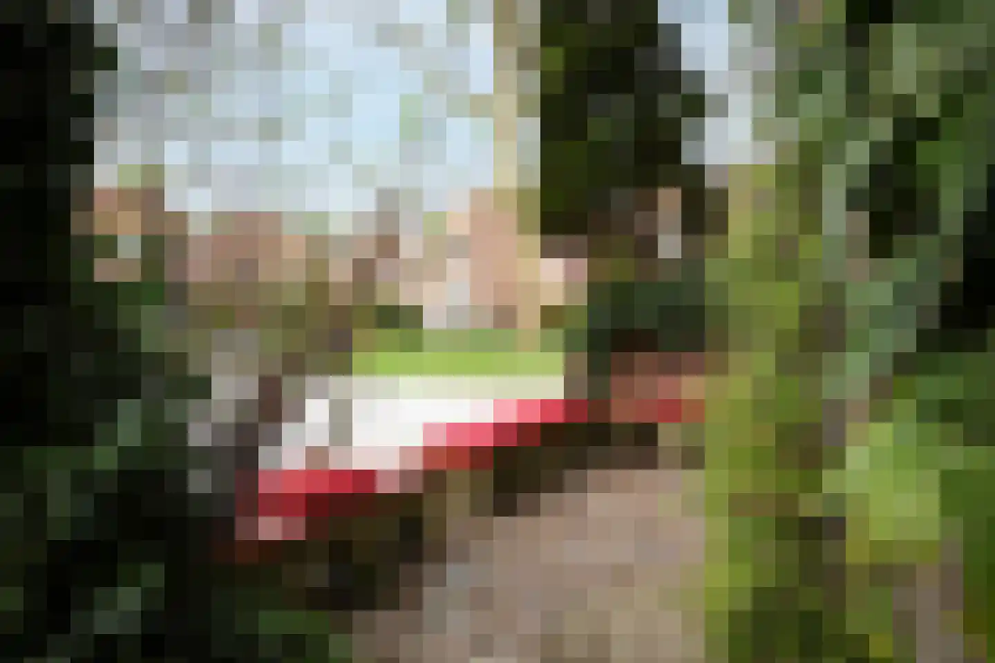 Mient 16 Sijbekarspel thumbnail 43