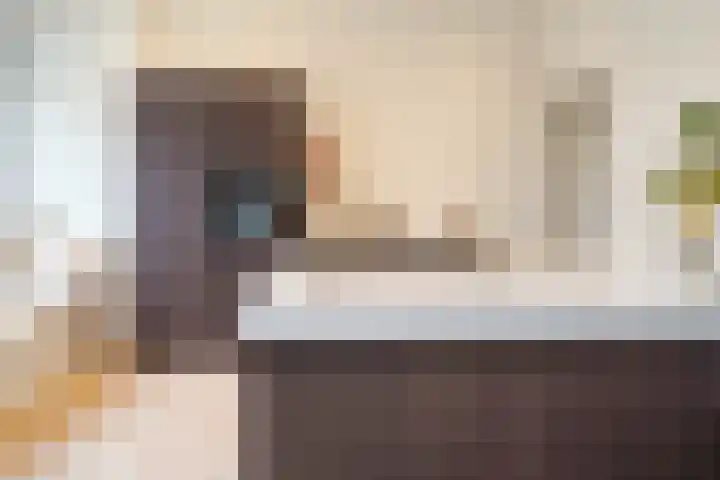 Mient 160 dans Den Haag