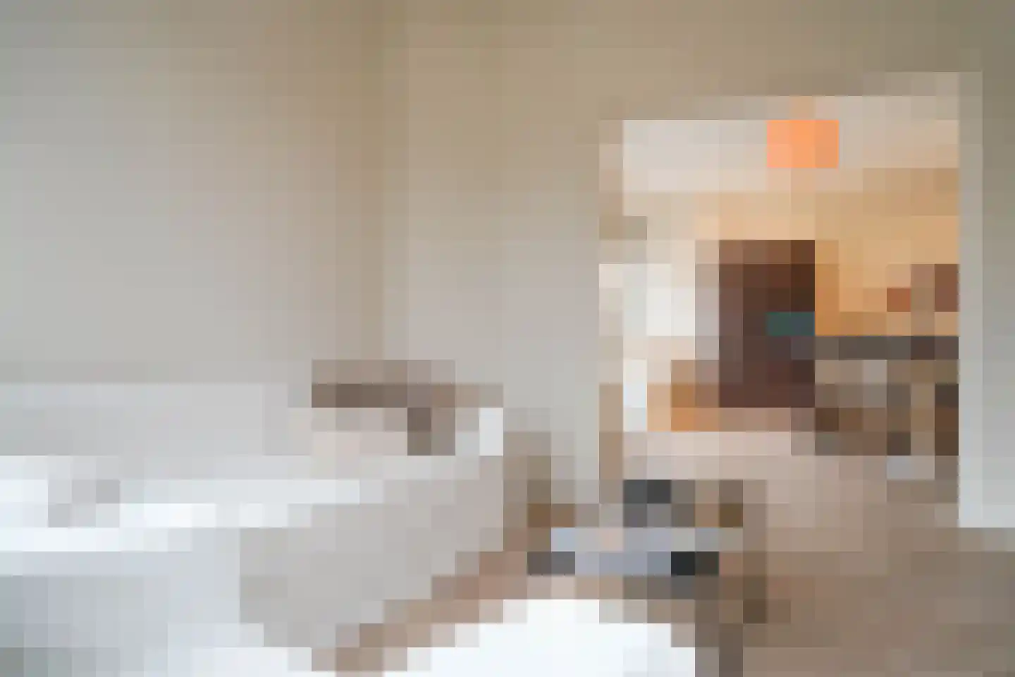 Mient 160 Den Haag thumbnail 20