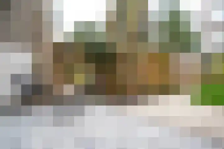 Mient 160 Den Haag thumbnail 23
