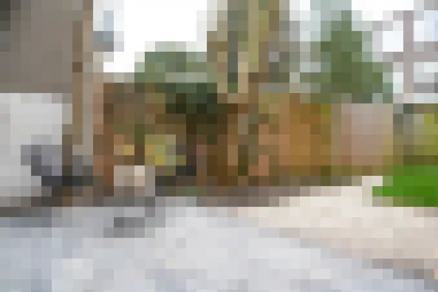 Mient 160 Den Haag thumbnail 24