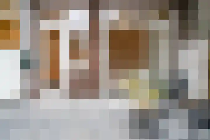 Mient 160 Den Haag thumbnail 25