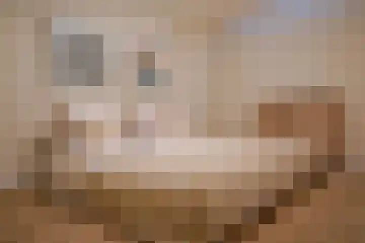 Mient 160 Den Haag thumbnail 38