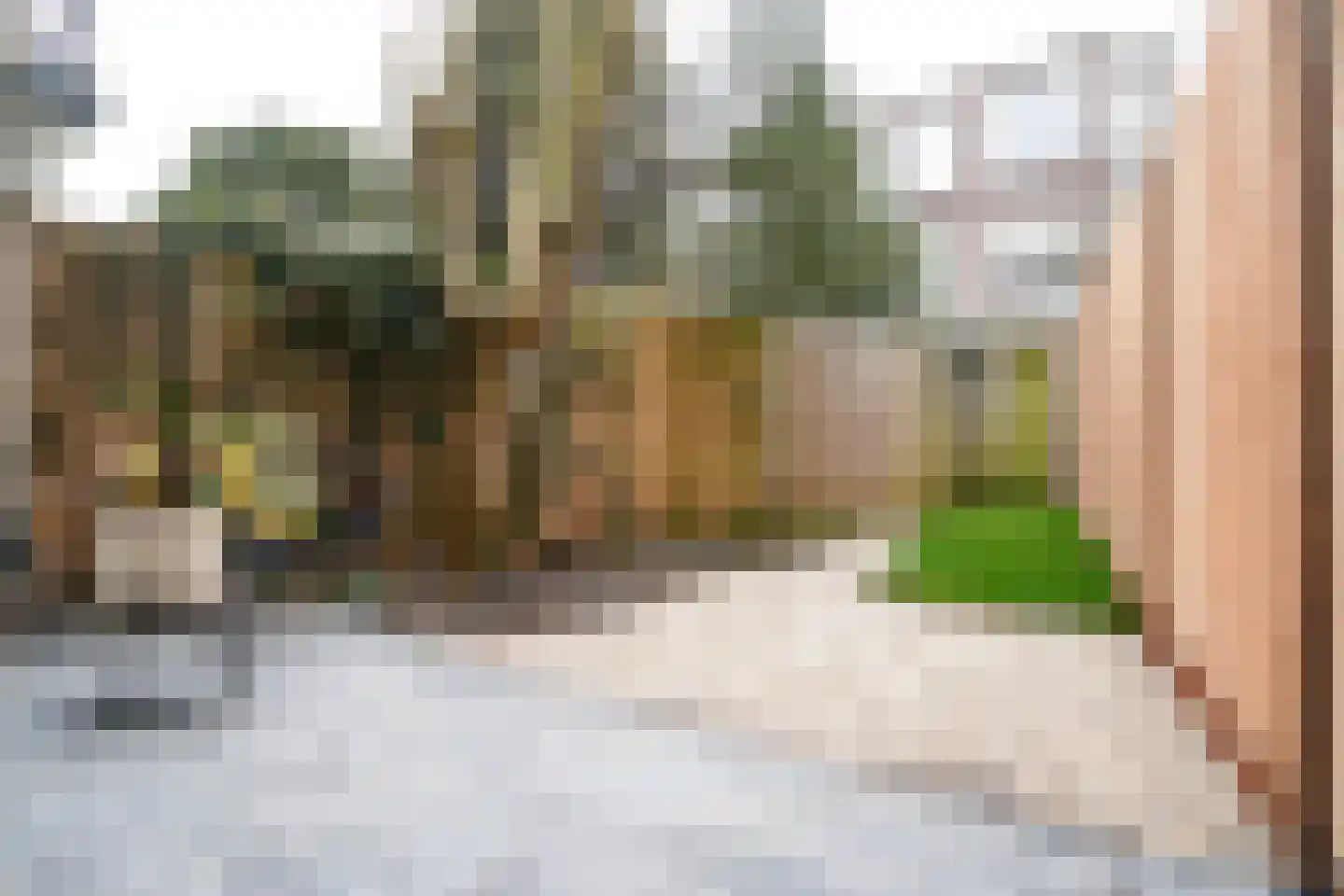 Mient 160 Den Haag thumbnail 4