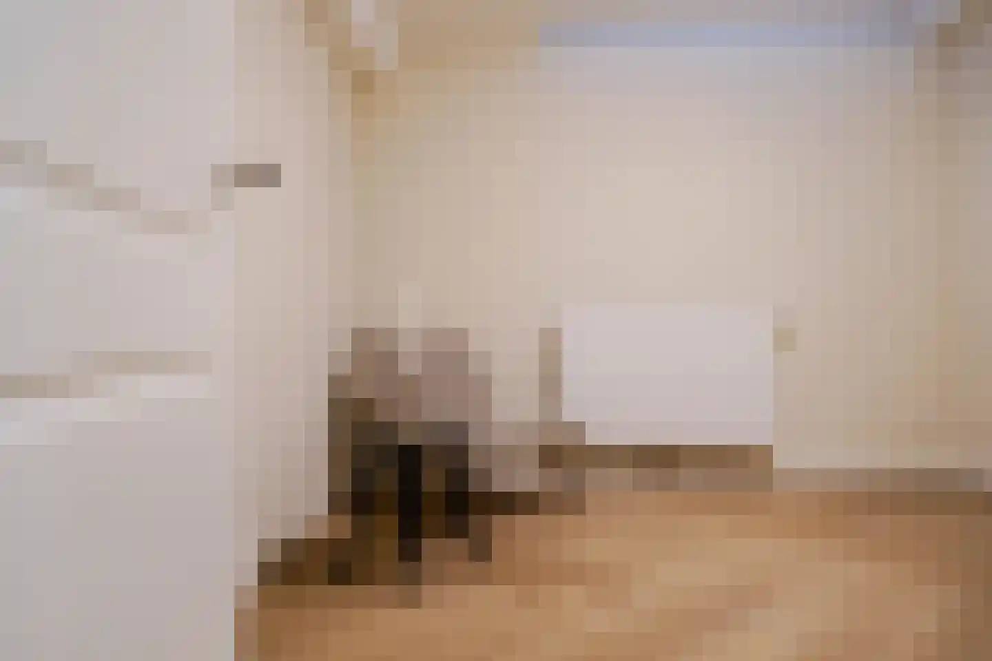 Mient 160 Den Haag thumbnail 42