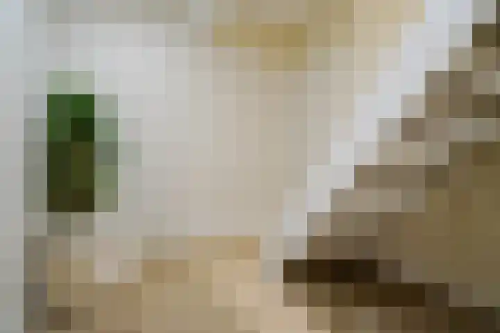 Mient 160 Den Haag thumbnail 44