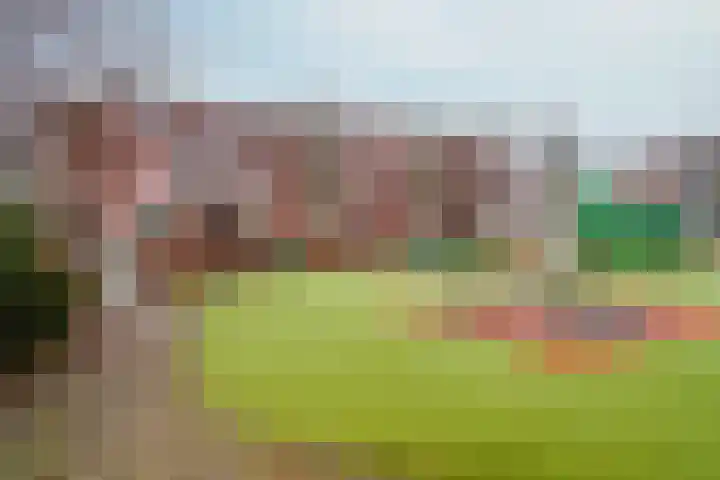 Mient 160 Den Haag thumbnail 46
