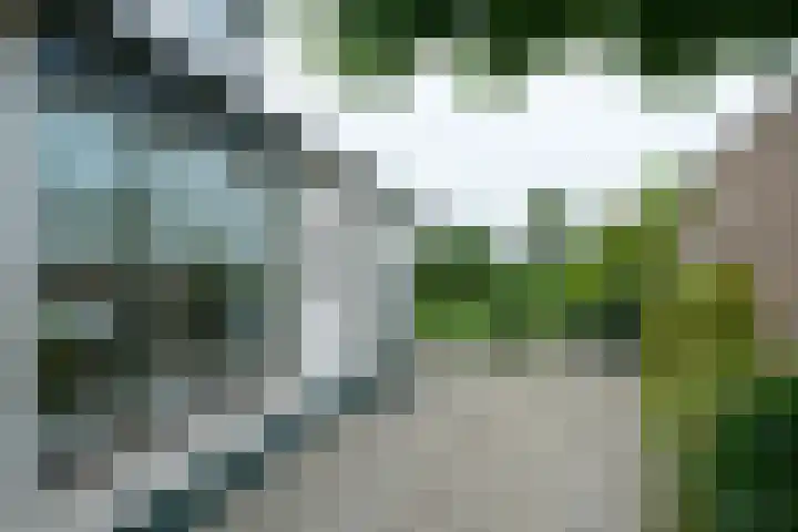 Mient 160 Den Haag thumbnail 5
