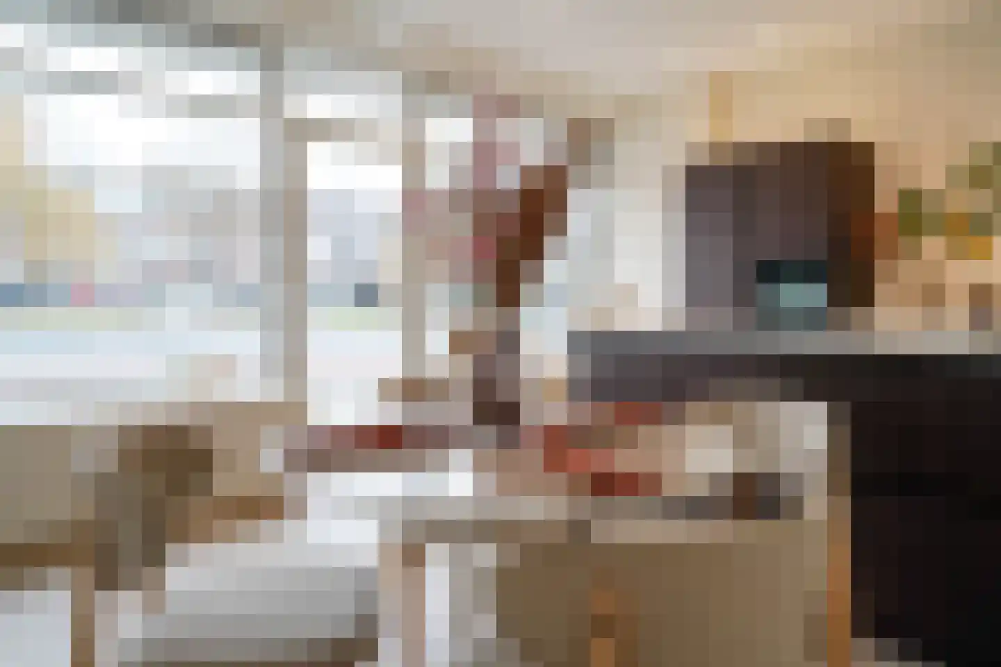 Mient 160 Den Haag thumbnail 7