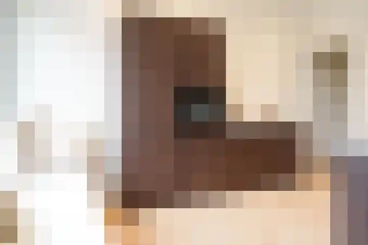 Mient 160 Den Haag thumbnail 9