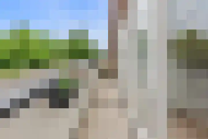 Mient 162 Den Haag thumbnail 18