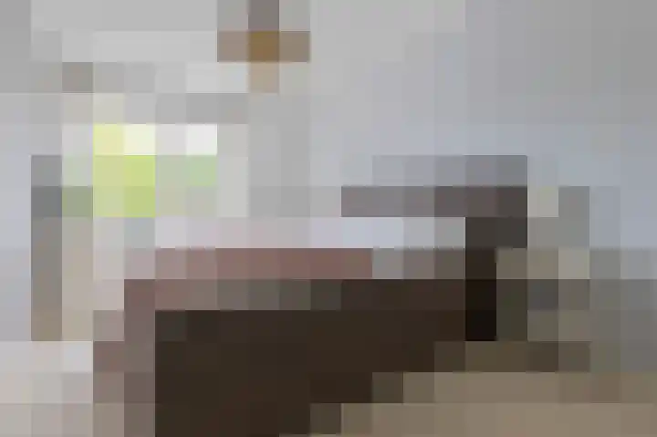 Mient 162 Den Haag thumbnail 22