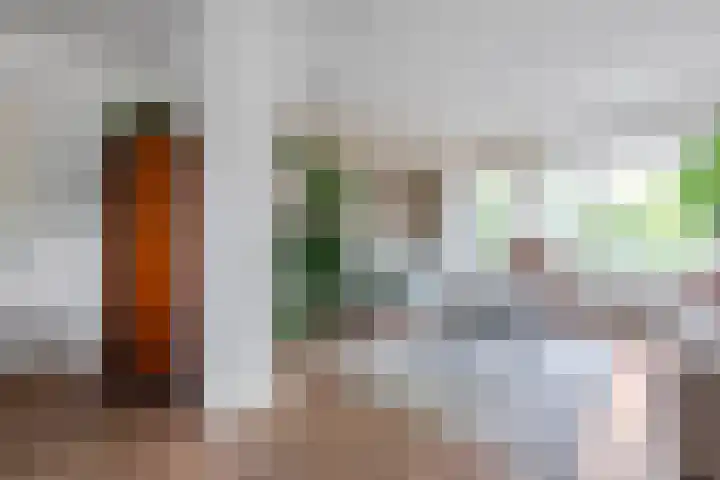 Mient 162 Den Haag thumbnail 9
