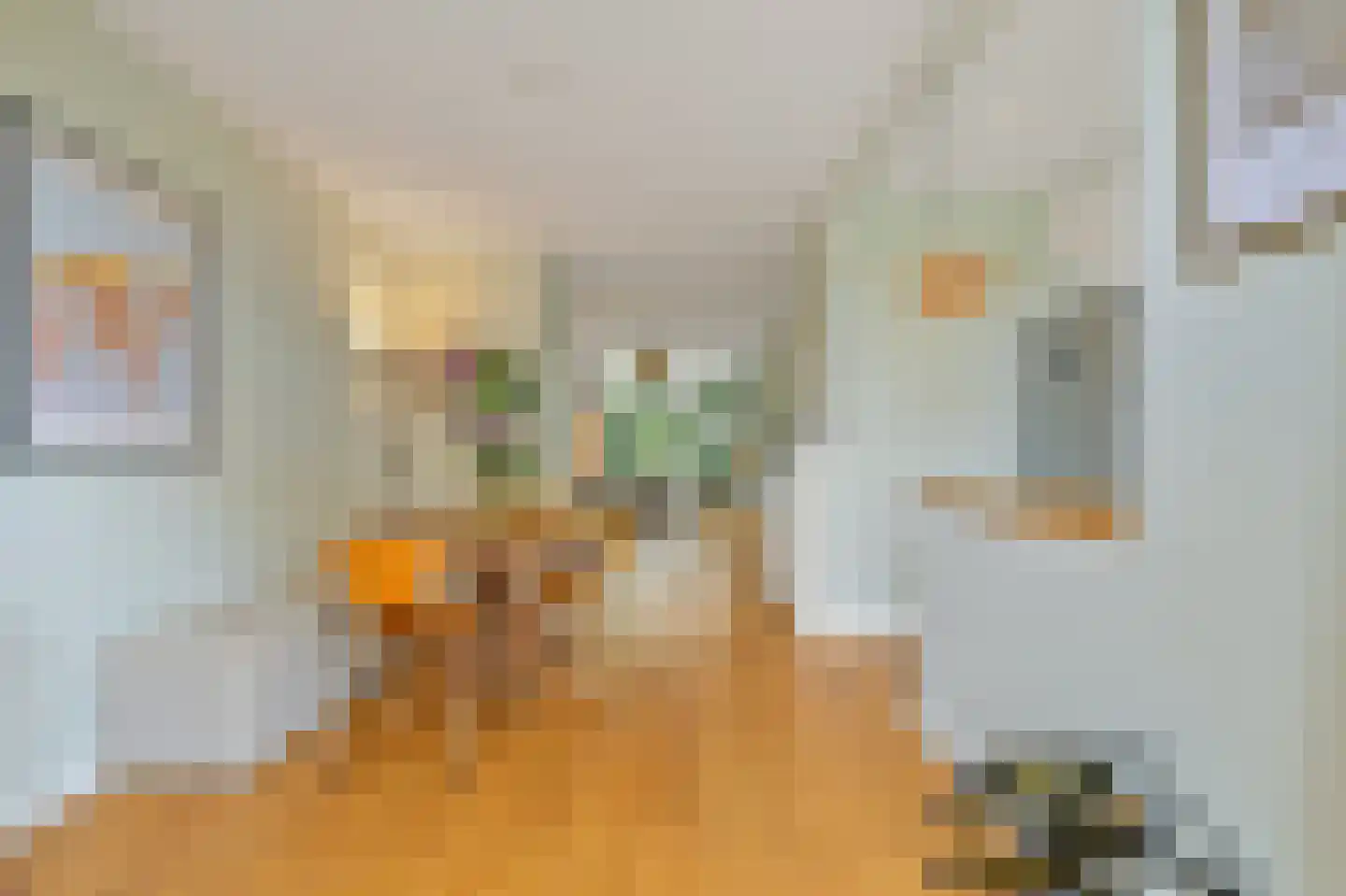 Mient 215 Den Haag thumbnail 12