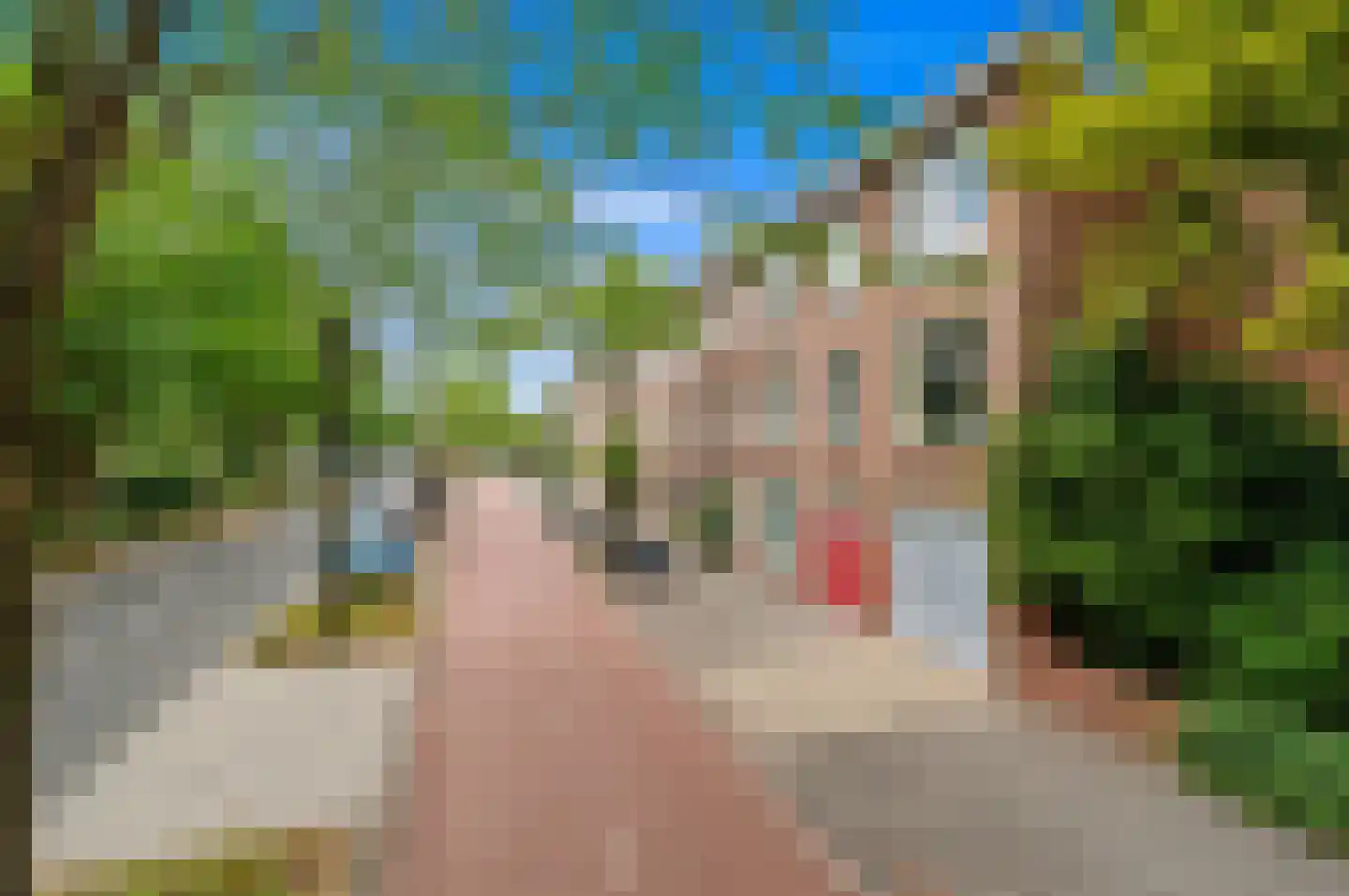 Mient 215 Den Haag thumbnail 5
