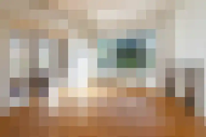 Mient 224 in Den Haag