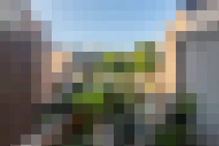 Mient 224 Den Haag thumbnail 13