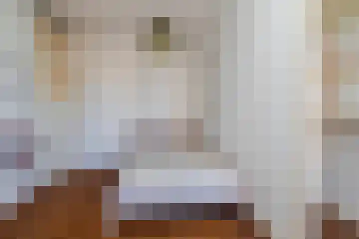 Mient 224 Den Haag thumbnail 17