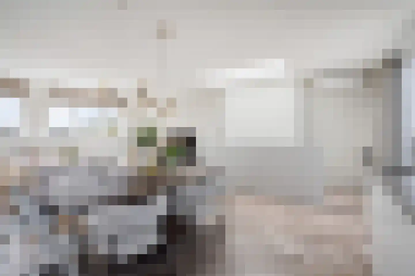 Mient 23 Den Haag thumbnail 10
