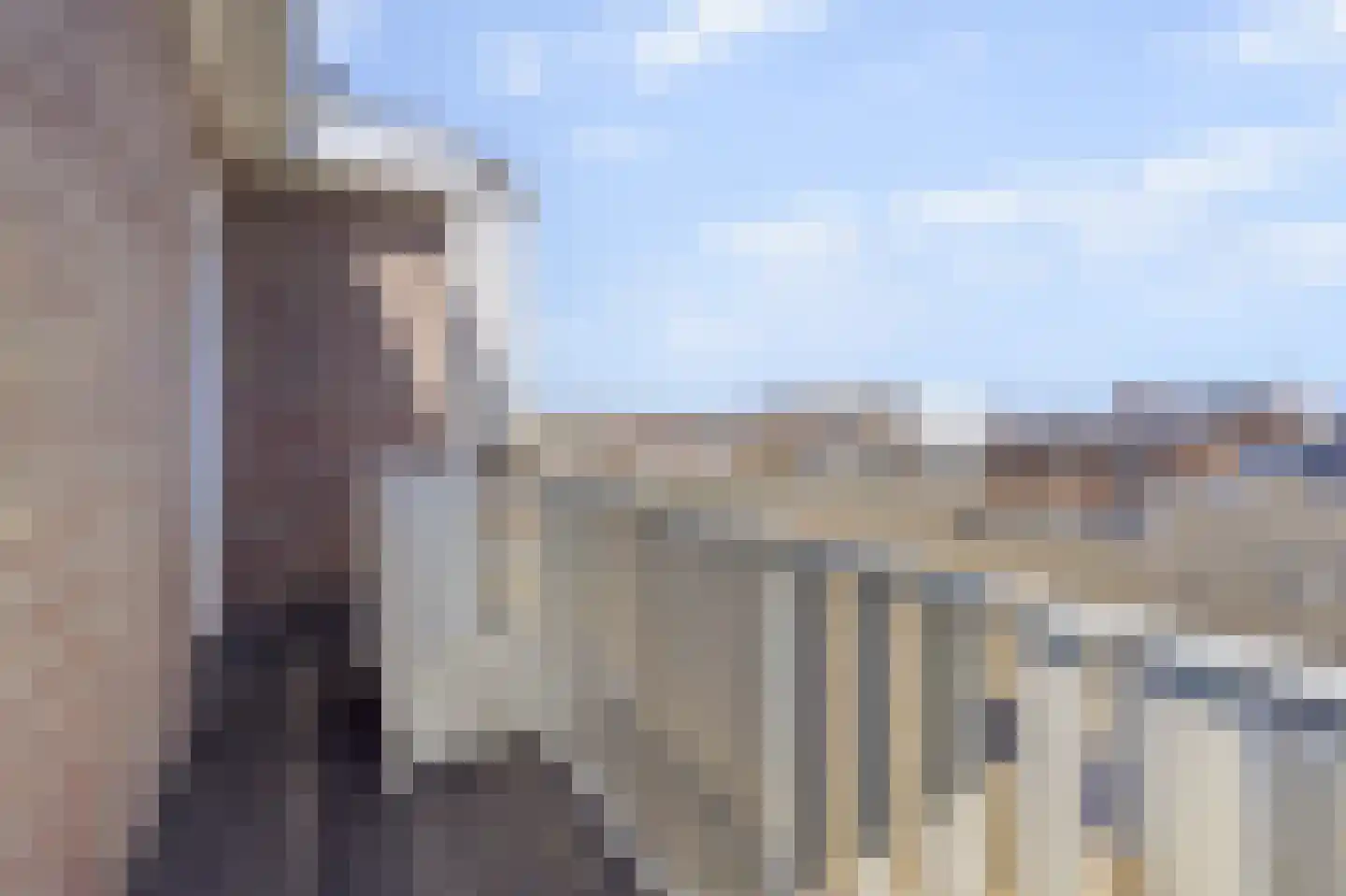 Mient 23 Den Haag thumbnail 18