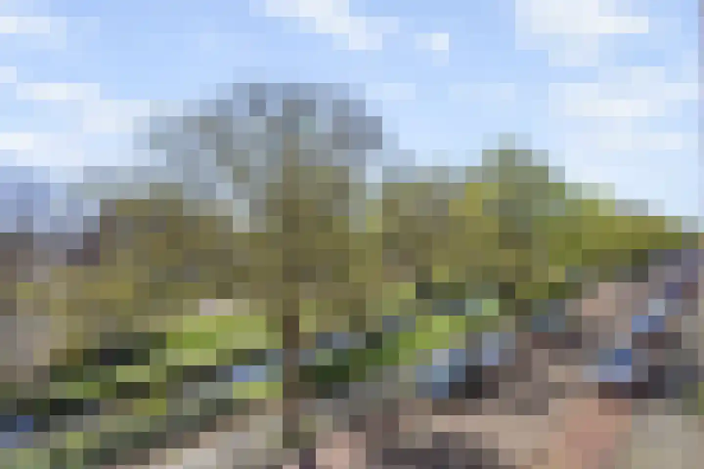 Mient 23 Den Haag thumbnail 20