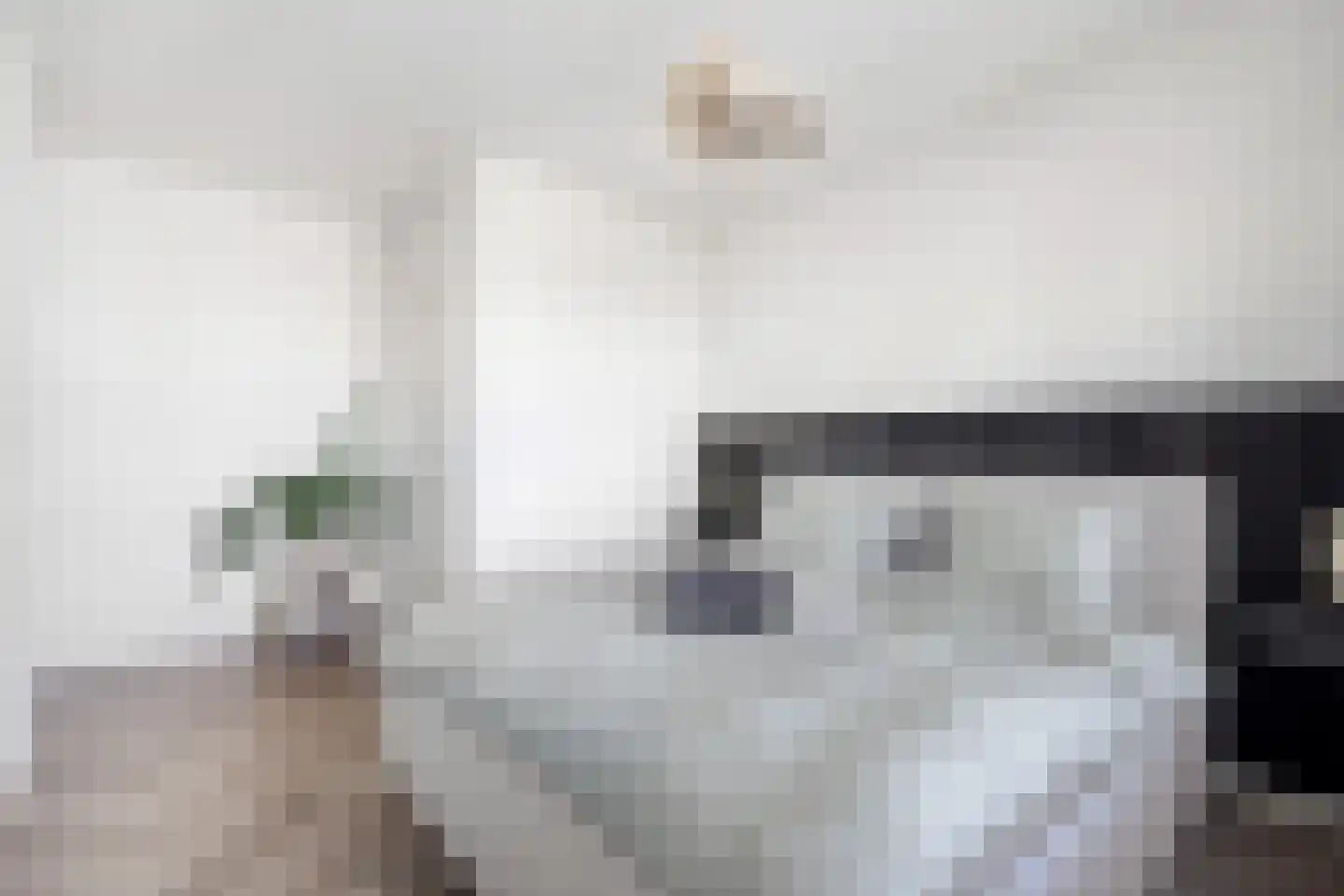 Mient 23 Den Haag thumbnail 26