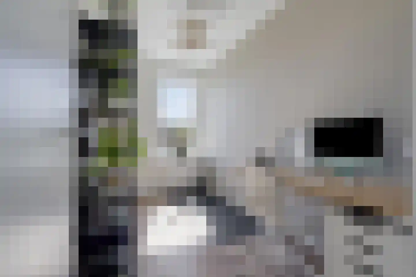 Mient 23 Den Haag thumbnail 35