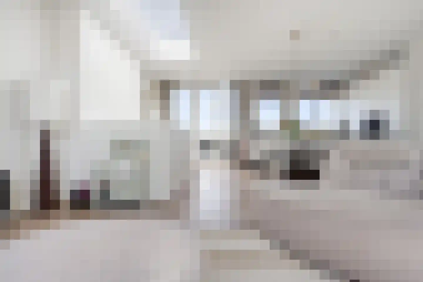 Mient 23 Den Haag thumbnail 4