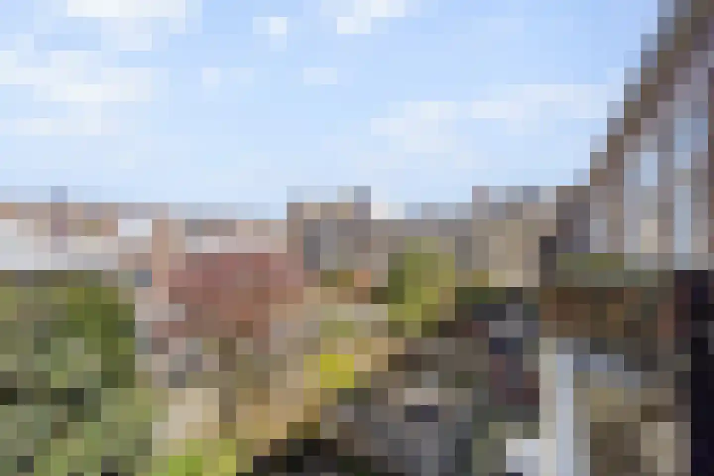 Mient 23 Den Haag thumbnail 40