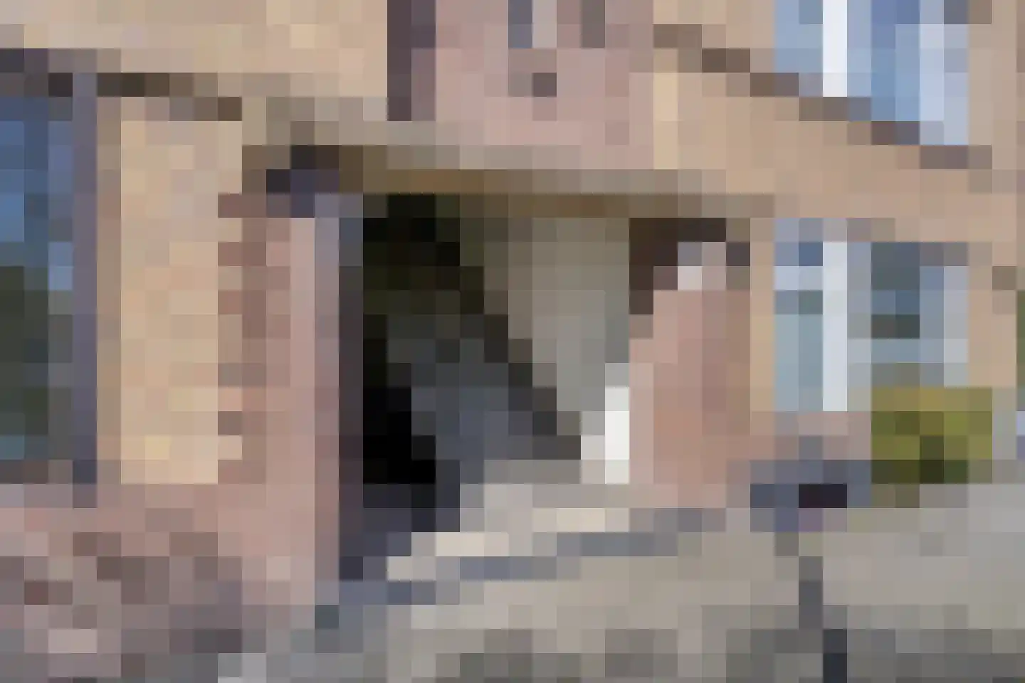 Mient 23 Den Haag thumbnail 46