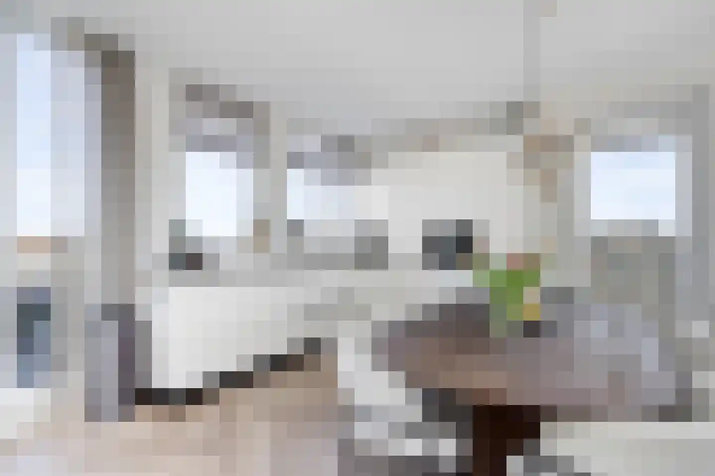 Mient 23 Den Haag thumbnail 8