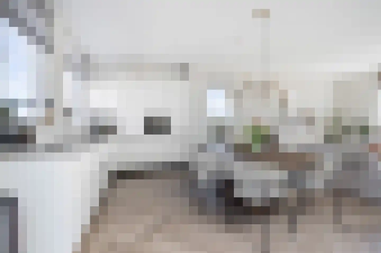 Mient 23 Den Haag thumbnail 9