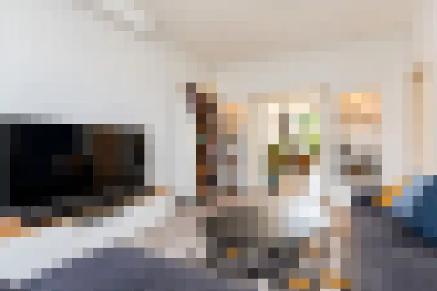 Mient 234 Den Haag thumbnail 10