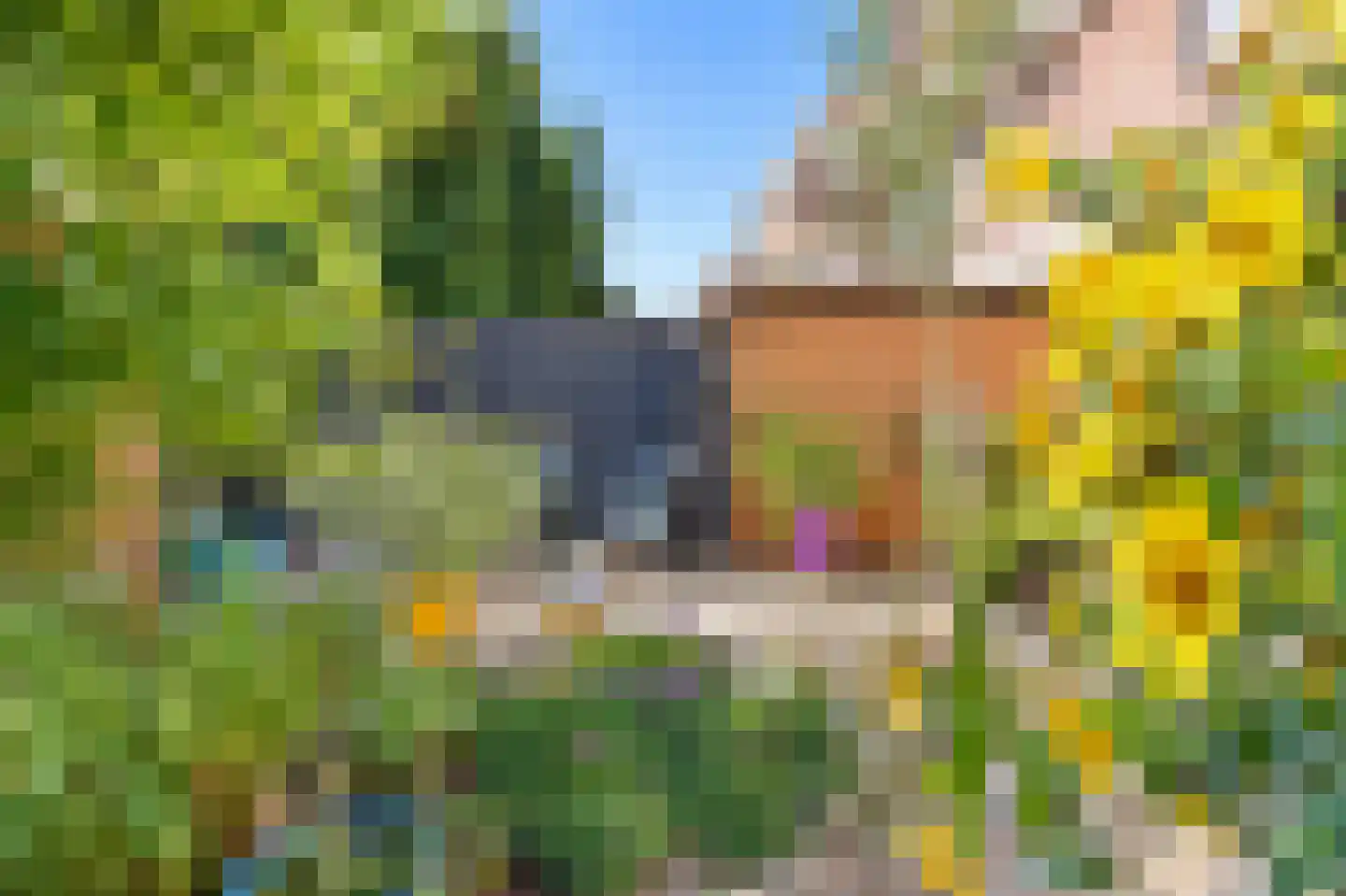 Mient 234 Den Haag thumbnail 23