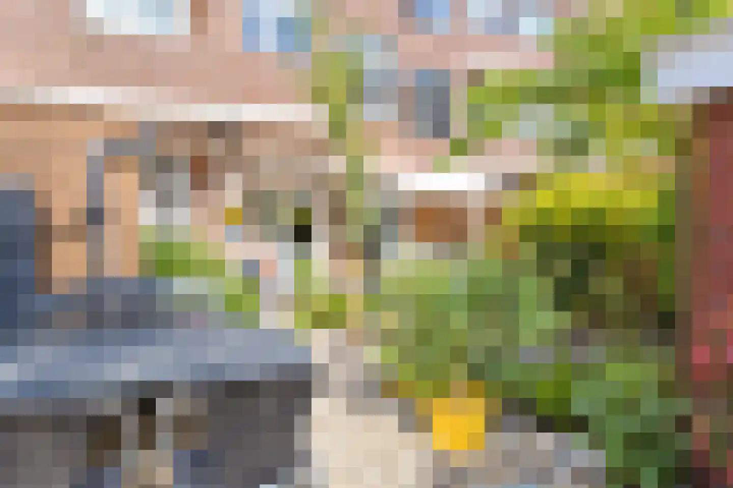 Mient 234 Den Haag thumbnail 25