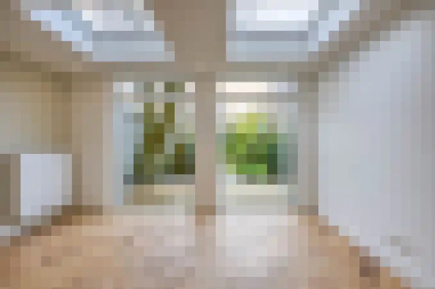 Mient 237 Den Haag thumbnail 23