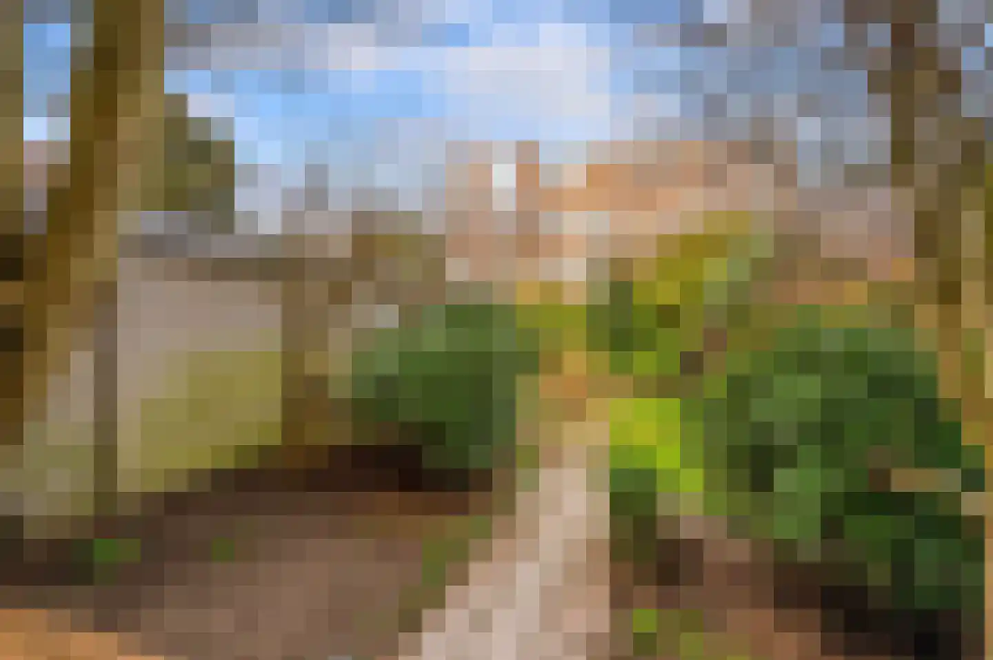 Mient 237 Den Haag thumbnail 28