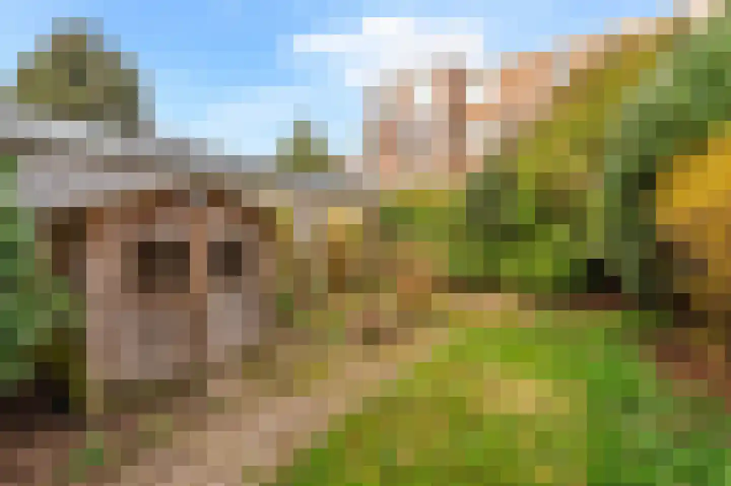 Mient 237 Den Haag thumbnail 30