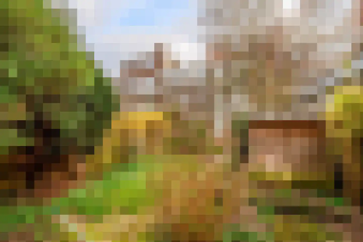 Mient 237 Den Haag thumbnail 31