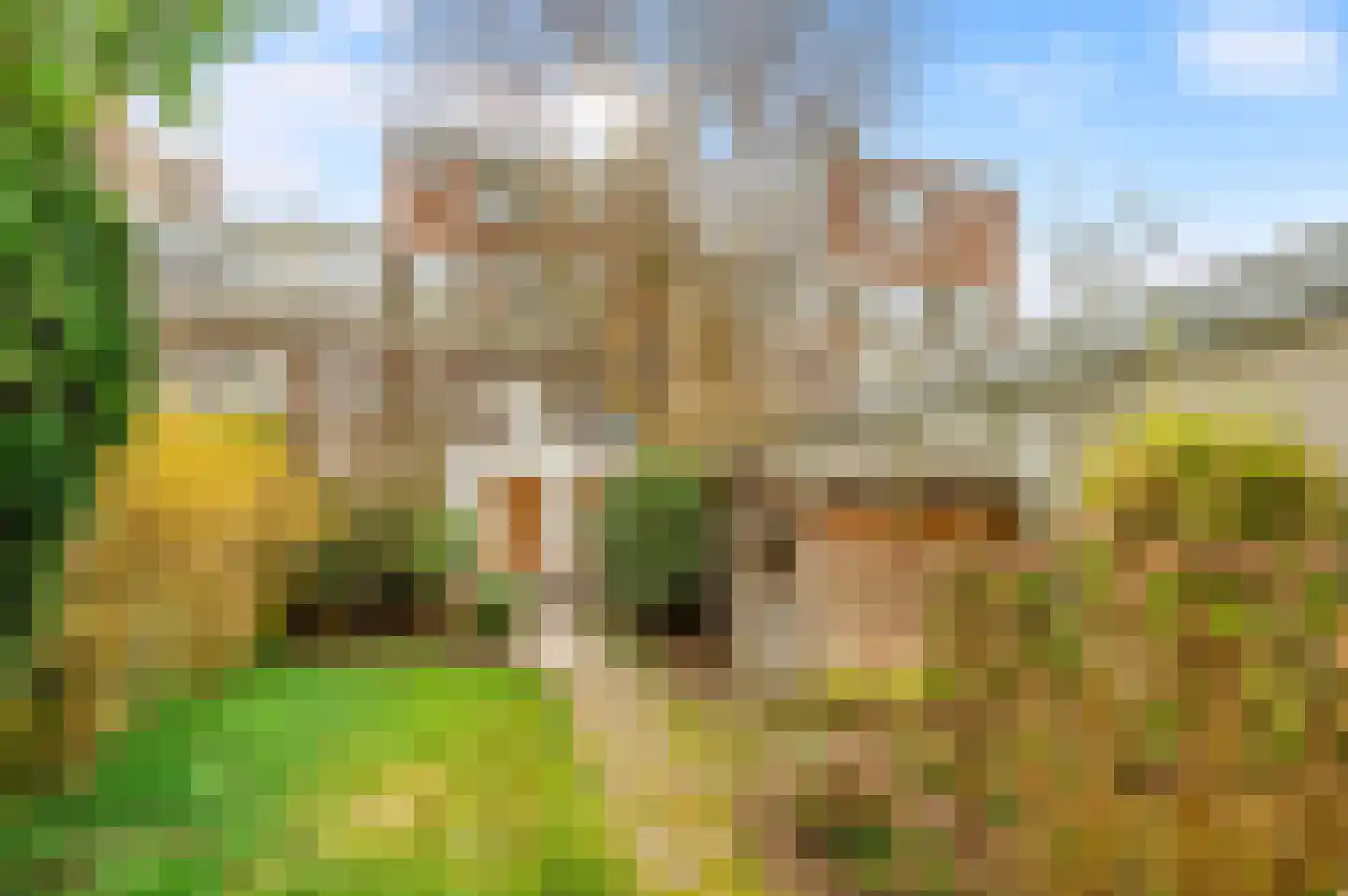 Mient 237 Den Haag thumbnail 32