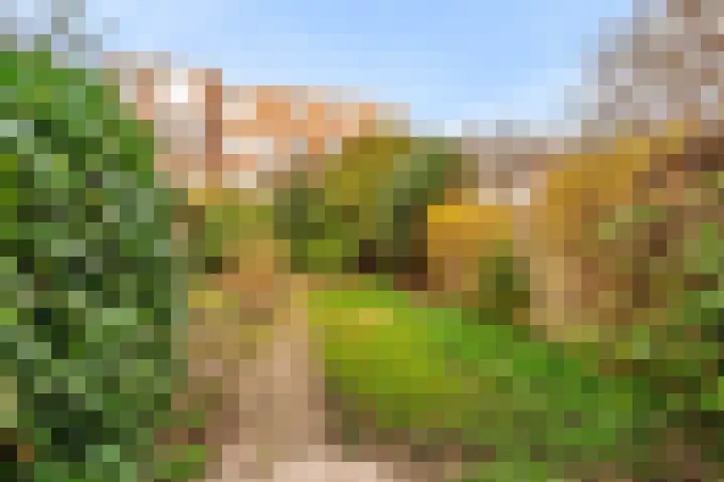 Mient 237 Den Haag thumbnail 4